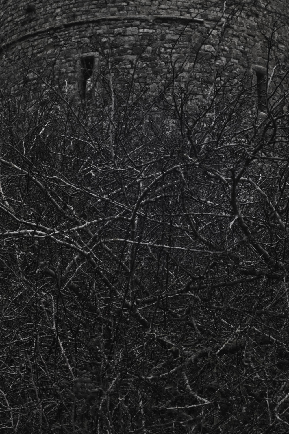 Untitled IX